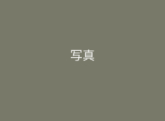 仮画像